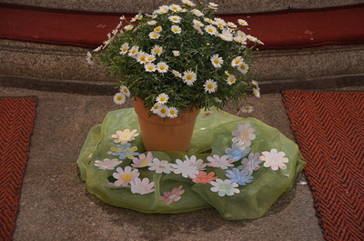  ... noch mehr Blumen und Blüten ...